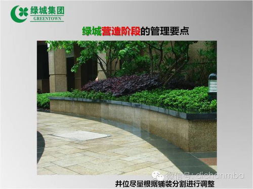 绿城园林景观工程管理关键点 从设计到养护的全流程实战解析